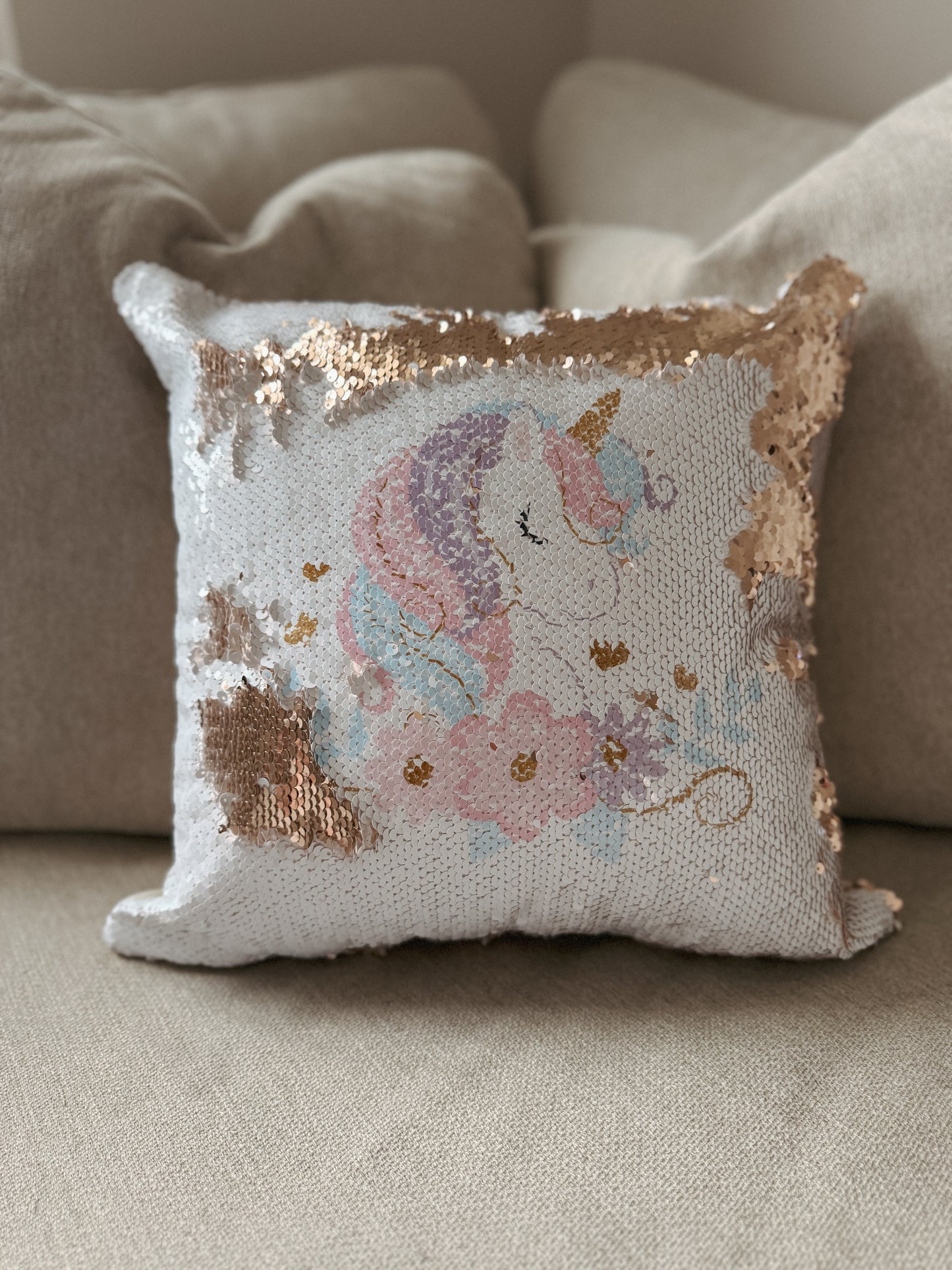 Sequin Pillow Case