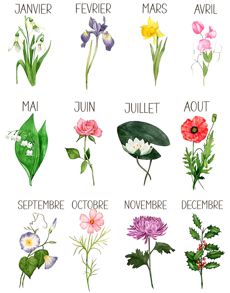 Le Jardin De Maman/Mamie/Grand-Maman Fleurs de Naissances T-Shirt